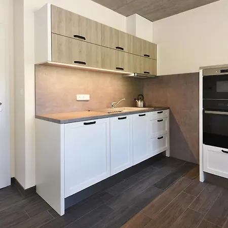 Jeleni Boudy Apartment *